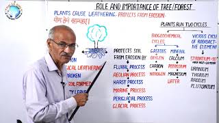 ROLE AND IMPORTANCE OF TREE amp FOREST  Part 25  By SS Ojha Sir [upl. by Martreb]