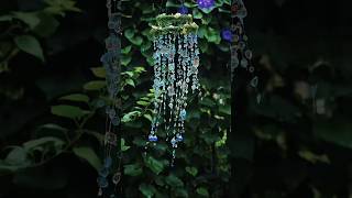 Wind Chime  Broken Mirror Wind Chimes  Wind chime with sound  diy art shorts viralshorts [upl. by Nahtanha]