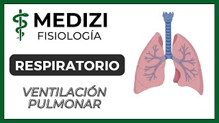 Clase 37 Fisiología Respiratoria  Ventilación Pulmonar IGdoctorpaiva [upl. by Lissak598]