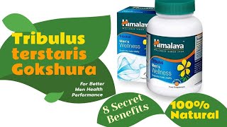 Himalaya Tribulus terstaris Gokshura capsules for men health uses and side effects  Medic Health [upl. by Ainoyek59]