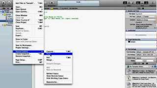 Fix git error in Xcode [upl. by Kandy]