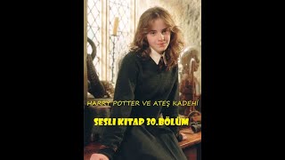 Harry Potter ve Ateş Kadehi  Bölüm 30  En İyi Sesli Kitap [upl. by Avuha]