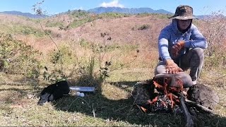 Bushcraft  cooking egg in hot stone  Outdoor adventure  tonog [upl. by Belamy687]