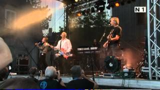 Adi Hirschal und das Electric Light Orchestra beim Kultursommer Purkersdorf [upl. by Aeneas549]