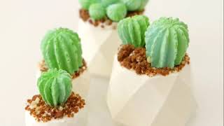 Chocolate Cactus Mold Mini Cakes [upl. by Eiramik]