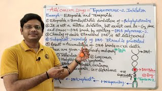 Anticancer Drugs Part13Topoisomerase 02 Inhibitors  Etoposide and Teniposide  Anticancer Drug [upl. by Ynabla475]