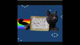 Nyan cat [upl. by Ongineb]