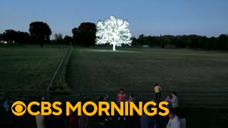 Pecan tree decorated for Christmas draws visitors from hundreds of miles away [upl. by Bleier]