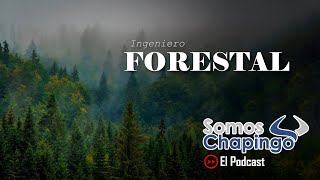 EPS 14 INGENIERIA FORESTAL UNIVERSIDAD AUTÓNOMA CHAPINGO [upl. by Odraccir]