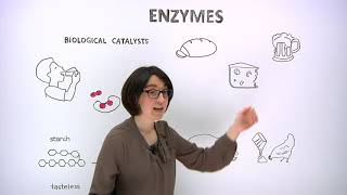 What are enzymes [upl. by Ruthy]