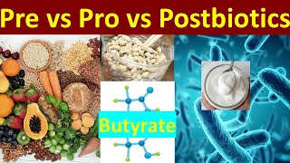 Cho Katsu 2 Pre Pro amp Postbiotics  The Gut Health Trinity [upl. by Theis]