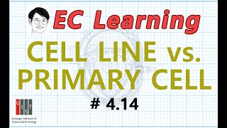 414 Cellular Principles Immortalized cell line vs Primary cell culture [upl. by Dnallor]