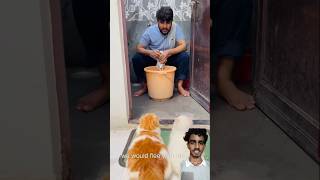 maalik ke bure din aa gye🤣😂 cat viralcat catvideo catcomedy [upl. by Seidel]