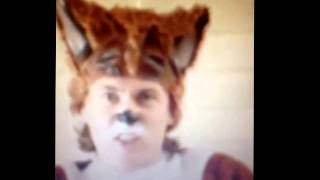 What Does The Fox Say Vine Compilation [upl. by Sremmus123]