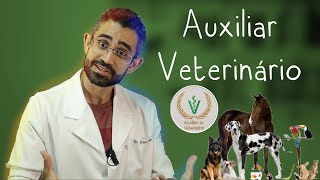 Tudo sobre o curso de AUXILIAR VETERINÁRIO [upl. by Nytram]