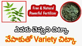 నెలకొకసారి ఇవ్వండిhow to use Neem leaves for plants organic garden MokkalathoManam [upl. by Hepsibah]