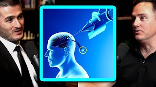 Neurosurgeon on implanting Neuralink into his own brain  Lex Fridman Podcast [upl. by Duhl]