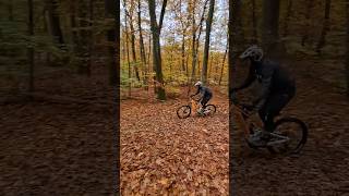 MTB Forest Riding 10 [upl. by Wanyen]