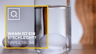 Wann ist ein Ei schlecht  Tipps amp Tricks  QVC [upl. by Folberth752]