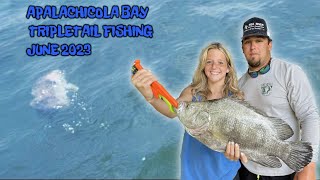 Morning of Tripletail fishing in Apalachicola Bay June 2023 [upl. by Lattimer326]