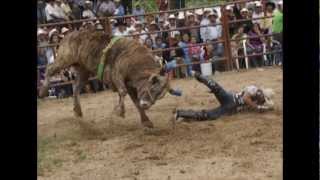 Los Toros Divinos presentacion oficial [upl. by Orteip352]