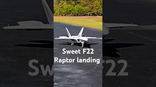 Smooth n silky landing Freewing F2290MM rcpilot youtubeshorts rcjets rchobby aviation [upl. by Shanon]