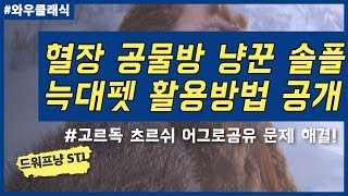 혈투의전장 사냥꾼 혈장 공물방 솔플 늑대펫 활용방법 공개 거추5셋이상 그르독 초르쉬 어그로 공유 문제 해결까지 [upl. by Maril]