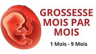 Evolution du fœtus  grossesse mois par mois [upl. by Nilson]