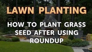 How to Plant Grass Seed After Using Roundup [upl. by Seka91]