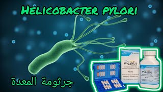 تجربتي مع جرثومة المعدة helicobacter pylori والأعراض الجانبية لدواء بيليرا pylera [upl. by Phylys]