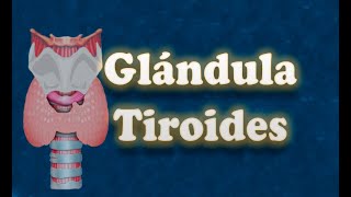 Glándula tiroides [upl. by Tadio]