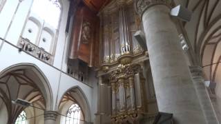 Alkmaar Church Organ [upl. by Faye]