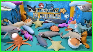 DOMINADORES DEL MEDITERRANEO  JUGUETES BLANDITOS [upl. by Ready]