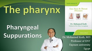 The pharynx Pharyngeal suppuration retropharyngeal abscess ludwigs angina Prof Dr Qotb [upl. by Dahsar]