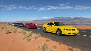 2020 GT500 vs Terminator Cobra [upl. by Sheryle]