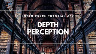 Depth Perception Intro Psych Tutorial 57 [upl. by Hadeehuat]