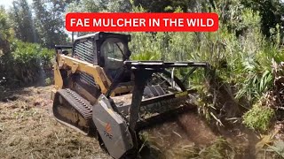 Forestry Mulching Land in South West Florida with our new FAE Forestry Mulcher [upl. by Odlaumor843]