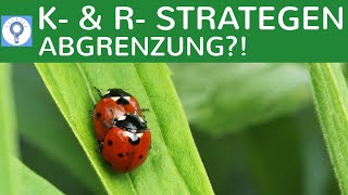 Fortpflanzungsstrategien  Problematik der Abgrenzung  KStrategen amp RStrategen  AbiAufgabe [upl. by Airemaj729]