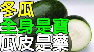 冬瓜全身都是寶，就連瓜皮都是一種藥！健康享知識《享知識TV》 [upl. by Novonod]