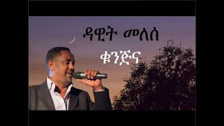 Dawit Melese  Kunjina Lyrics  ዳዊት መለሰ  ቁንጅና ግጥሞች  WowLyricsOfficial [upl. by Ninerb]