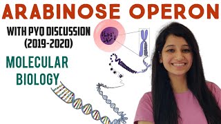 ARABINOSE OPERON With CSIR NET Previous Year Question 20192020Molecular BiologyUnit 3OPERON [upl. by Dianne]