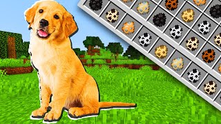 ASÍ SERÍA MINECRAFT CON PERROS 🐶 [upl. by Annis966]