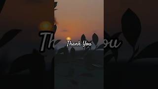 Thank You Positive Evening Affirmations For Women YouTubeShorts Gratitude AffirmationsShortVideo [upl. by Alleinnad]