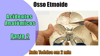 Osso Etmoide  Aula 2 Prática  Anatomia  Anatomia Humana [upl. by Enamrahs]