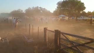 RALLY DEL CHACO velocidad y ☣ peligro inminente [upl. by Nodaj]