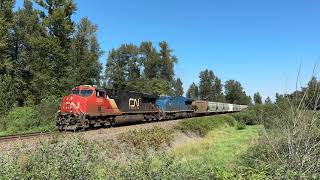 220 Potash Loads CN 759 Potash Train  Sumas Mtn BC Canada 17AUG24 ES44AC 2920 Leading [upl. by Nealy]