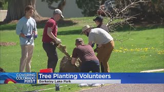 DaVita Teams Up With The Park People Arbor Foundation To Plant Trees [upl. by Ilram]