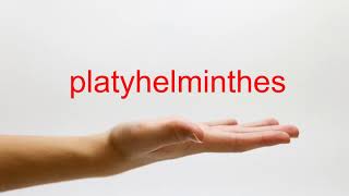 How to Pronounce platyhelminthes  American English [upl. by Eetnahc]