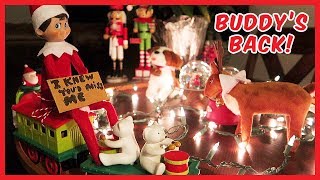 Buddy the Elf is BACK Elf on the Shelf Train Day 16 Christmas 2017 [upl. by Caasi]