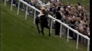 The History Of Epsom Derby UK Thoroughbreds 22 [upl. by Eirlav984]